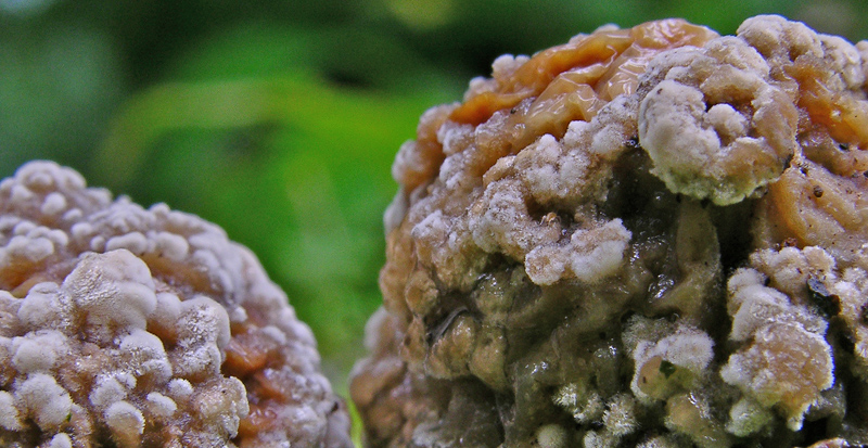 Risposte griglia 2 (marted� 29 maggio)